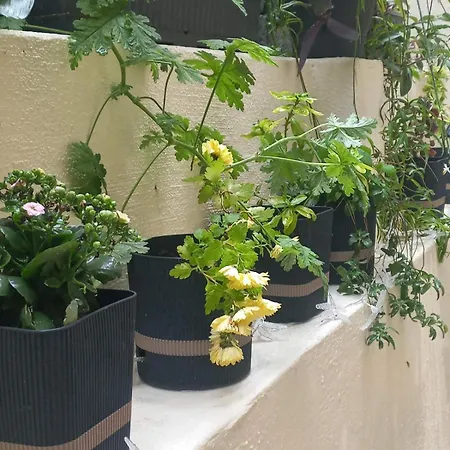 Lägenhet Kellys Μαγική Αυλή