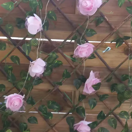 Kellys Μαγική Αυλή