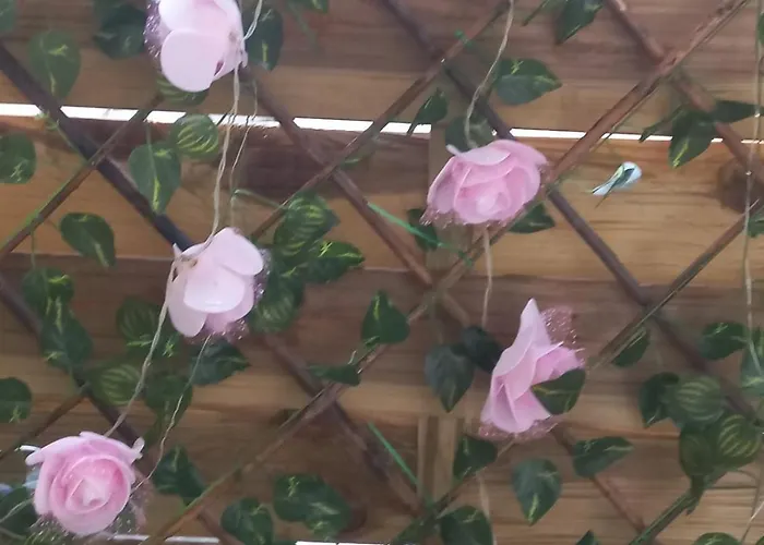 Kellys Μαγική Αυλή