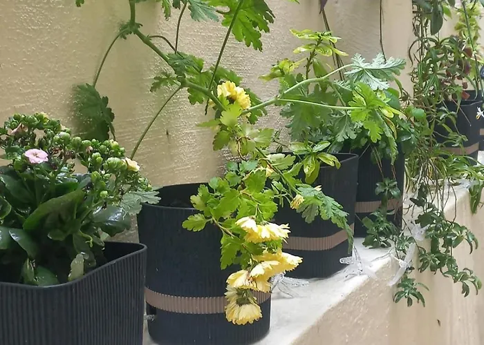 Апартаменты Kellys Μαγική Αυλή