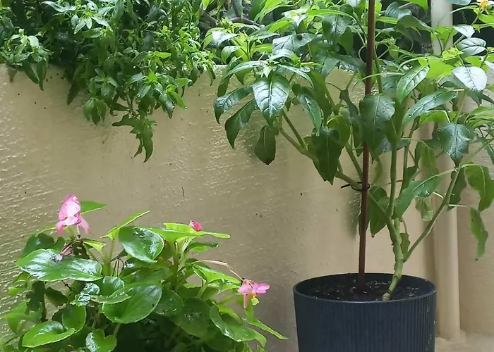 Lejlighed Kellys Μαγική Αυλή